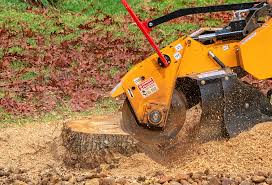 Best Aeration Services  in Gladwin, MI